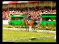 pippa funnell biography pippa funnell biography