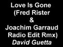 David Guetta - Love Is Gone (Fred Rister & Joachim Garraud R