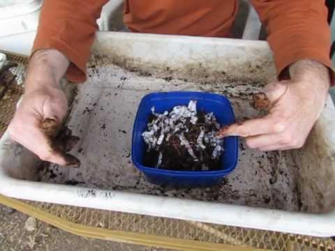 how to harvest vermicast