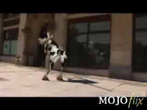 La vaca MU MU