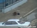 drunk guy falls in sewer