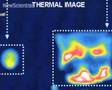 New Scientist video round-up - April 25, 2008