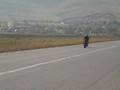 rexh kallashi (ferizajli)