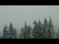 I'm Dreaming of a White Christmas in Seattle
