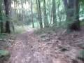 Trail riding