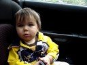 Wit in Car