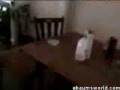 videos de Poltergeist!