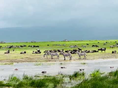 Best Safari Itinerary Tanzania