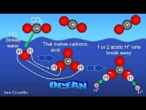 how to dissolve carbon