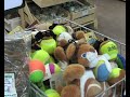 Faunaland Het Molentje bedrijfsimpressie