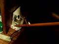 High-Voltage-Across-