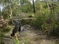 A little bit of mountain bike pain