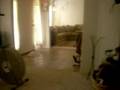 videos de my nehpew tj on christmas