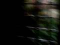 Hurricane gustav in Jamaica part 2-the eye 1