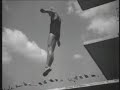 Diving in 1936 Olympics Diving in 1936 Olympics