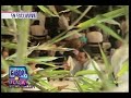 anahi y jaime camil besandose