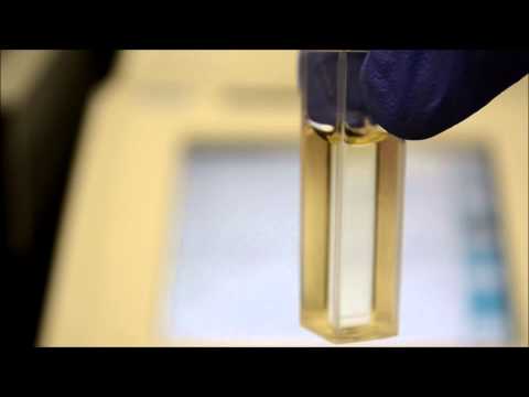 how to isolate protein from e.coli