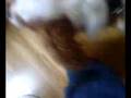 Dog Saying Allah