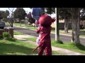 Monkey pillow fight and Tiger jacking it - vlog #46