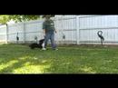 Hawk 6 5 07 Flatwork