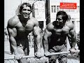 arnold &co.