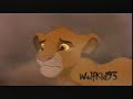 Lion King-Why? Lion King-Why?