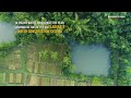 How a farmer turned 90 acres of wasteland into a lush green forest in Odisha