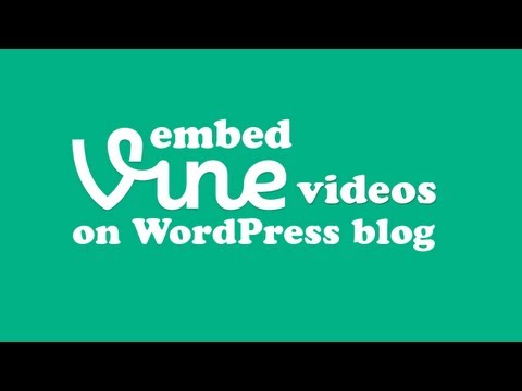 how to embed vine videos