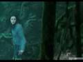 Edward and Bella 