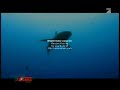 Focus TV: Sharkwater & Sharkproject part 1 Focus TV: Sharkwater & Sharkproject part 1