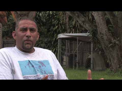 how to treat my dogs dry skin