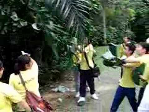 Bringing down Smilax