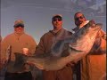 Jim Baugh Outdoors TV Hampton Rockfish Tourney Jim Baugh Outdoors TV Hampton Rockfish Tourney