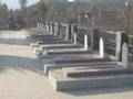 Truth Behind Bloody Clashes in Parachinar Kurram Agency P-2