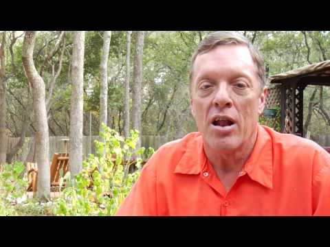how to start a lawn care business ehow