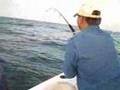 submitted by atlanticwebmaster on Mon Apr 27 2009 at 11:59pm