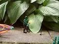 Alien visit - Stop motion
