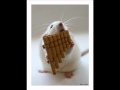 Der einsame Hirte - Panflute