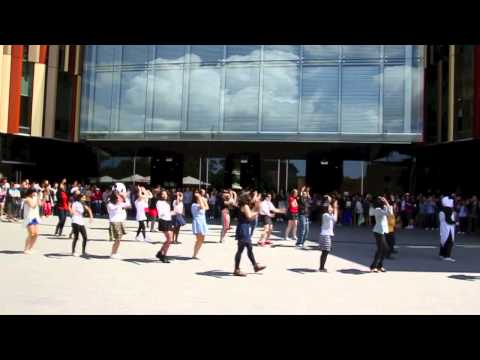 MacquarieUniversity - PSY- GANGNAM STYLE flash mob at Macquarie University , Sydney, Australia OPPA GANGNAM STYLE! Macquarie University Sydney, Australia.