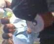 ghayta marocain tbel