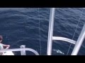 Hatteras, NC bluefin tuna 3/20/10 Godspeed