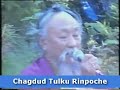 Chagdud Tulku Rinpoche video compilation
