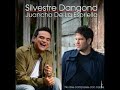Silvestre Dangond: Estupido 