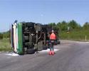 Arla væltet i rundkørslen ved Taulov.