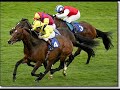 Horse  racing in pictures falls victories etc