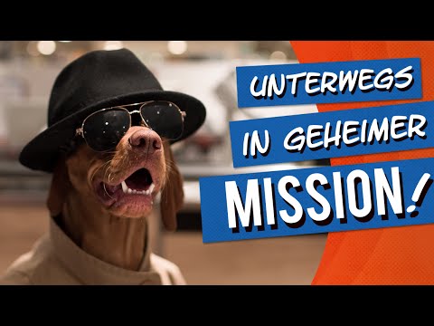 bosch | Fruitees - Der fruchtige Hundesnack: Werbespot