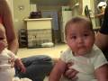 Baby Home Video Fail - animals, baby, dog, fail, home video, kids, pets, pillow