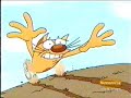 Catdog tribute