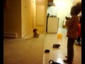 Cj's 1st steps
