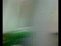 7ª 6 - FB, manhã (LL)